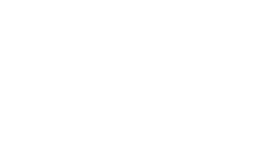 Wyzee